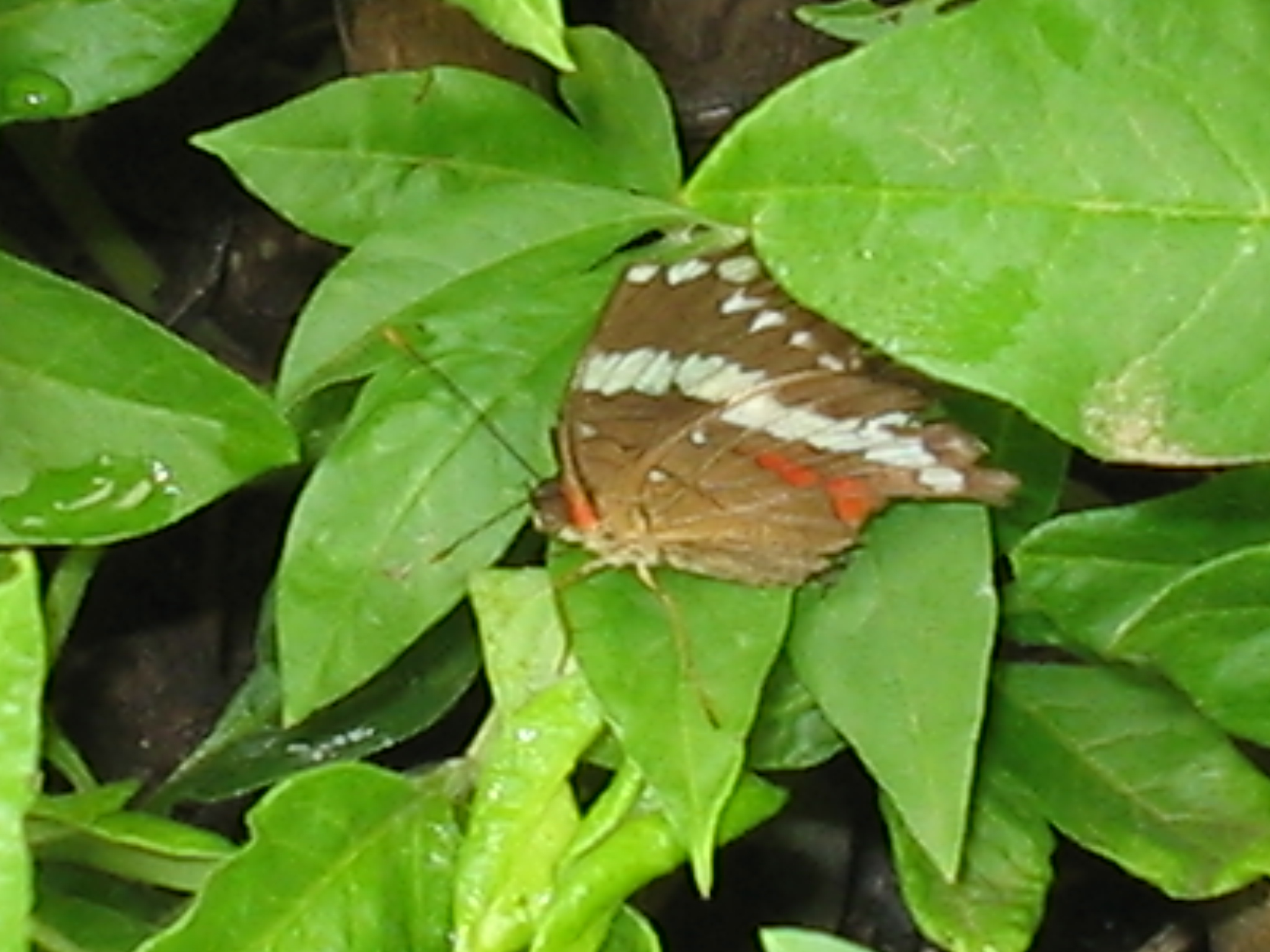 Botanical Gardens Photo 12