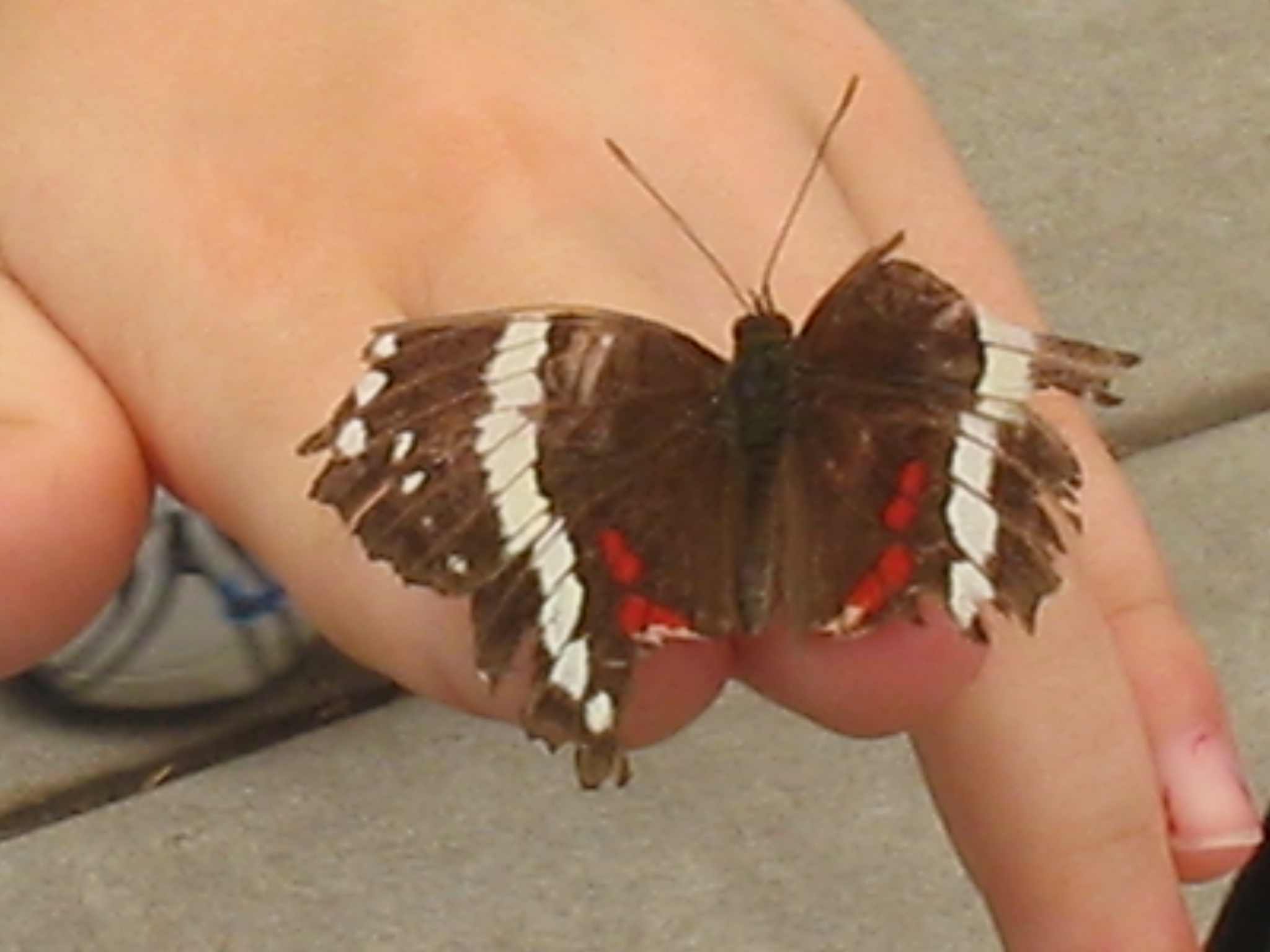 Botanical Gardens Photo 14