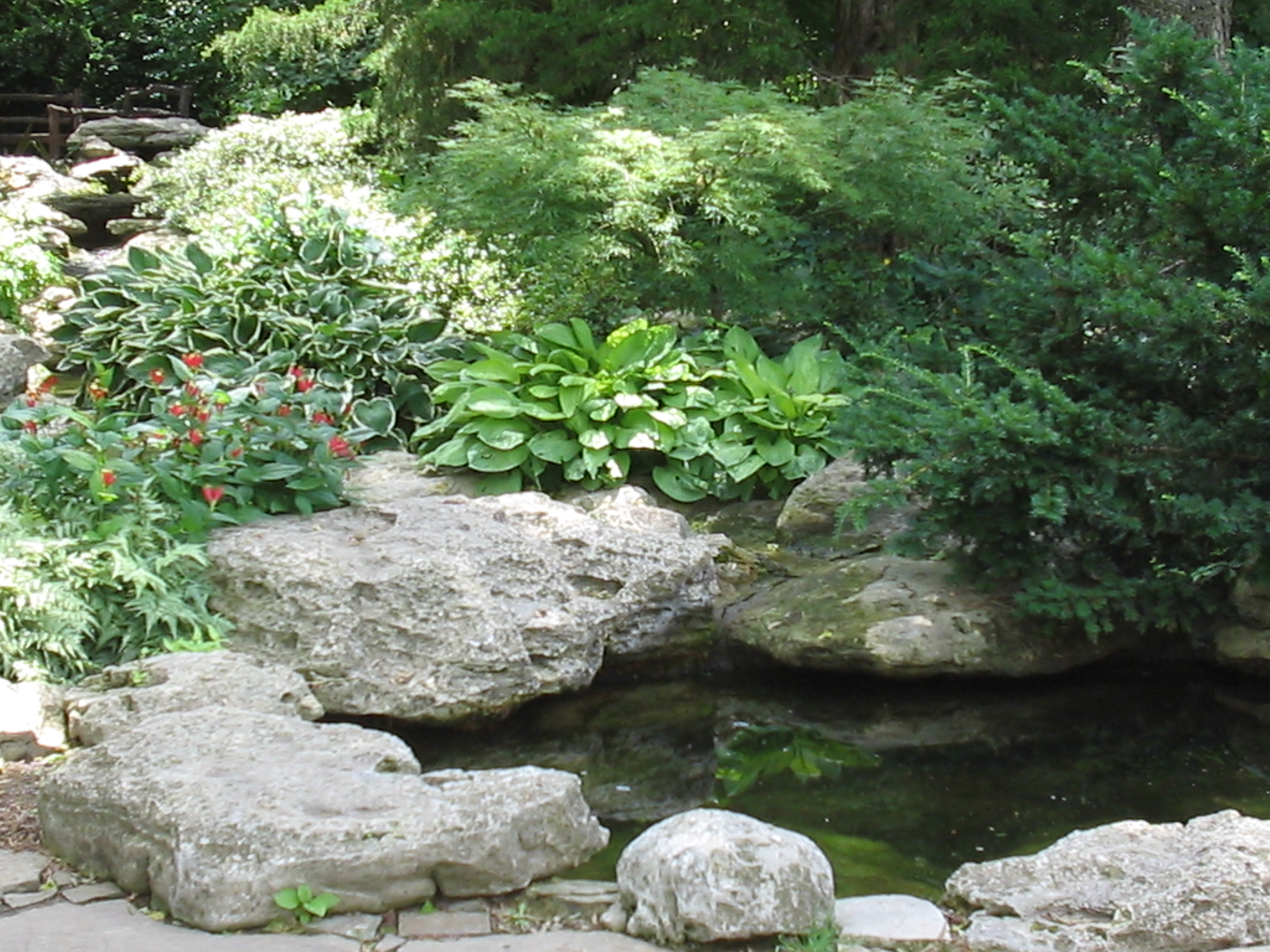 Botanical Gardens Photo 15