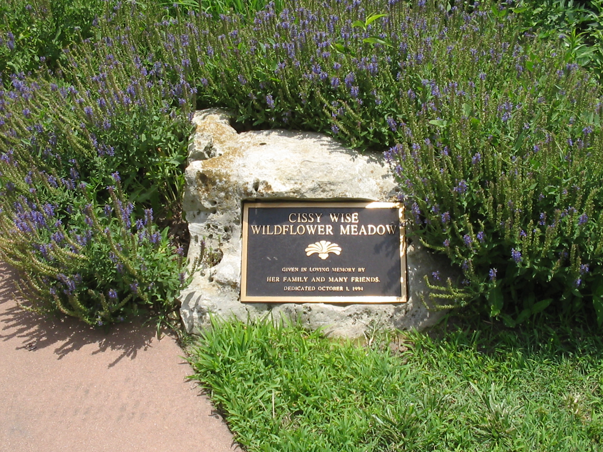 Botanical Gardens Photo 2