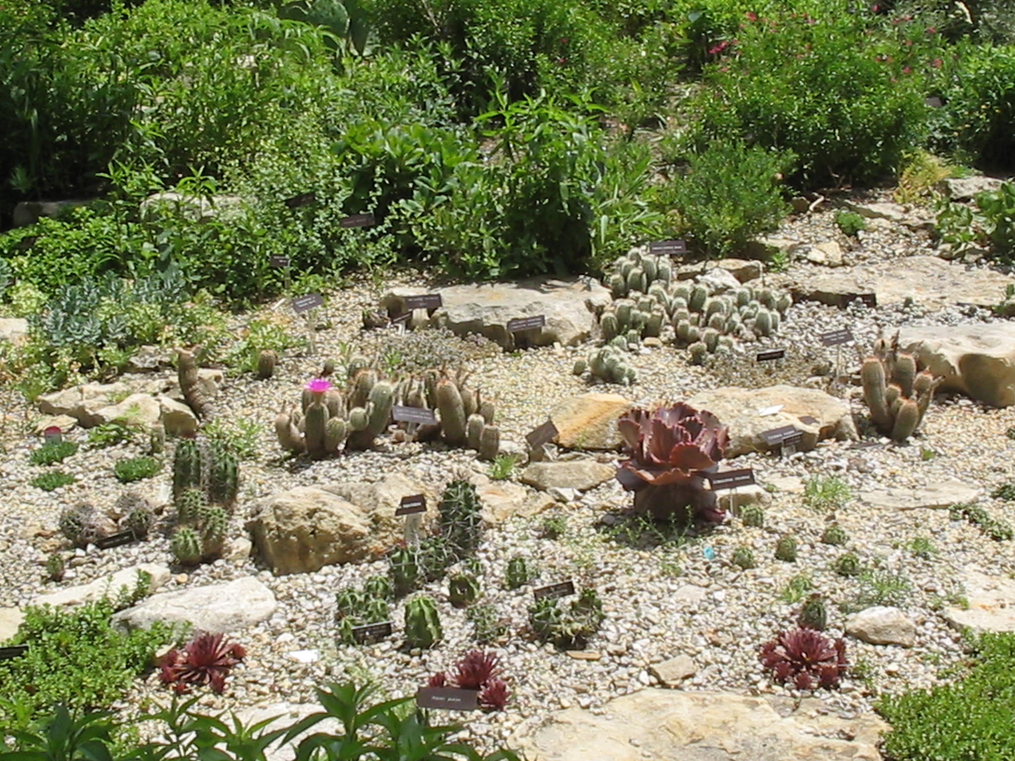 Botanical Gardens Photo 24