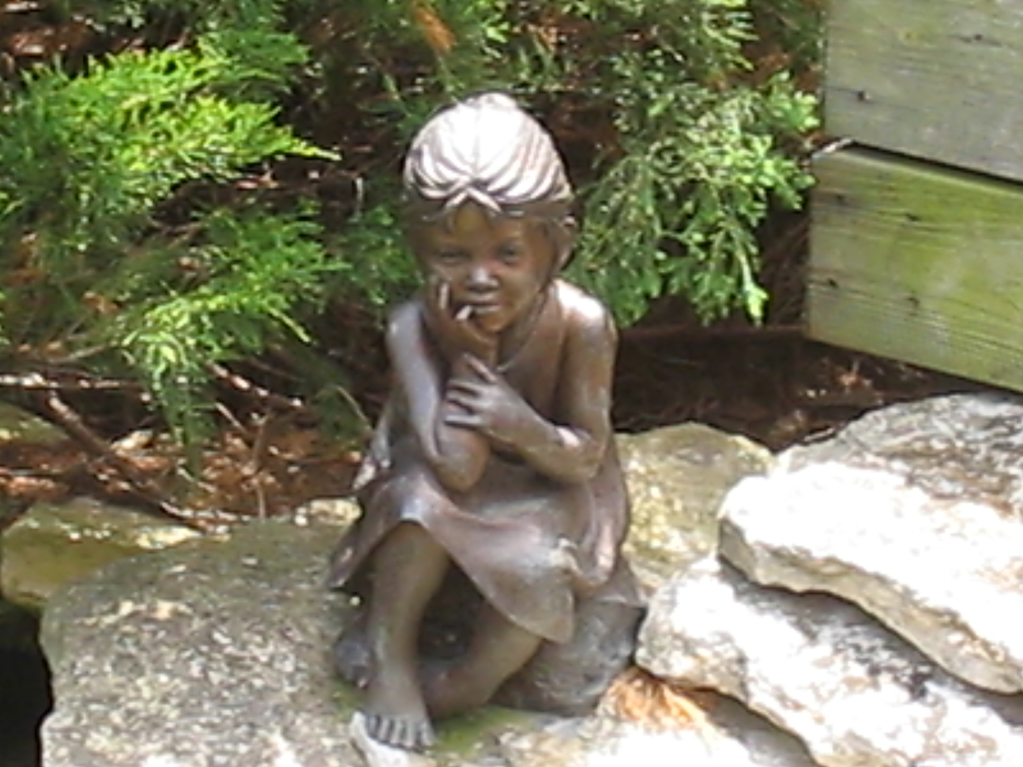 Botanical Gardens Photo 25