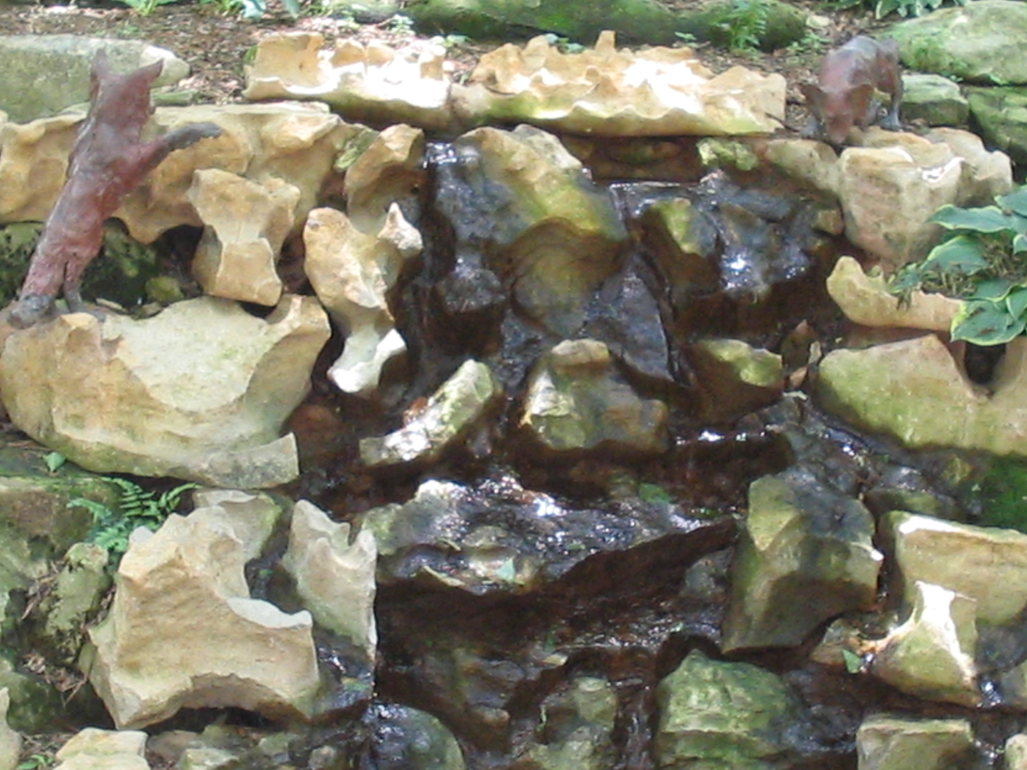 Botanical Gardens Photo 3