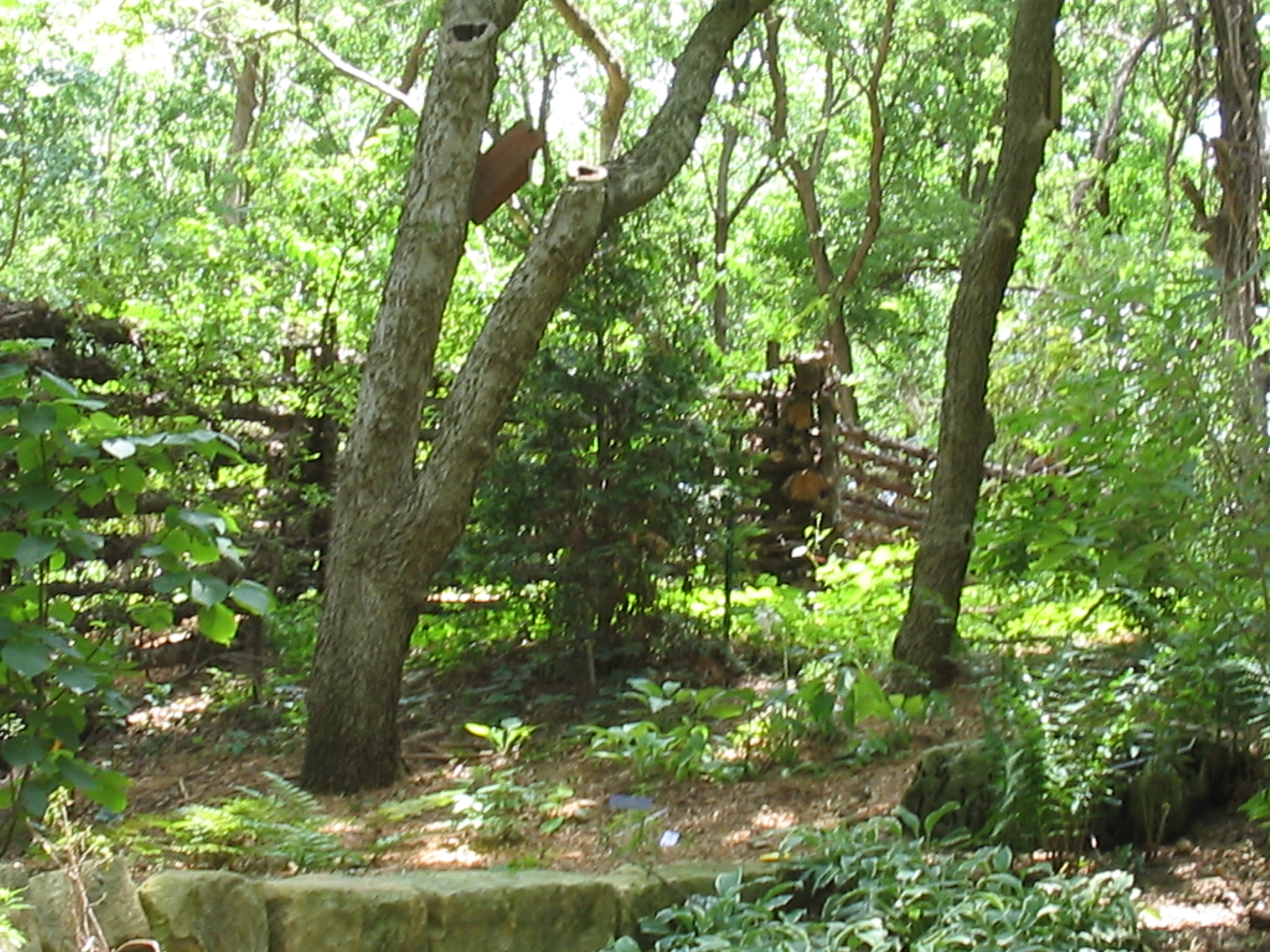 Botanical Gardens Photo 5